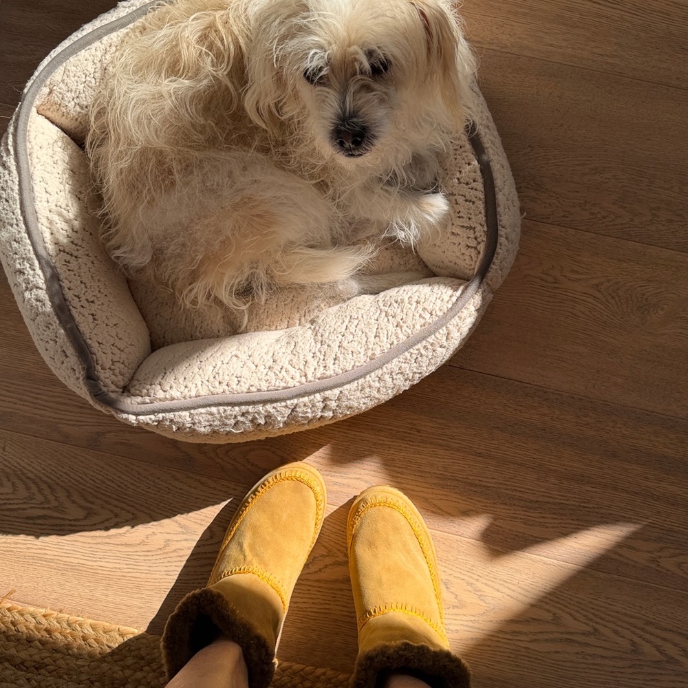 Free people NWT Laidback London Shearling Nyali Croquet camel suede Ankle Boot 🙏 - Picture 4 of 12